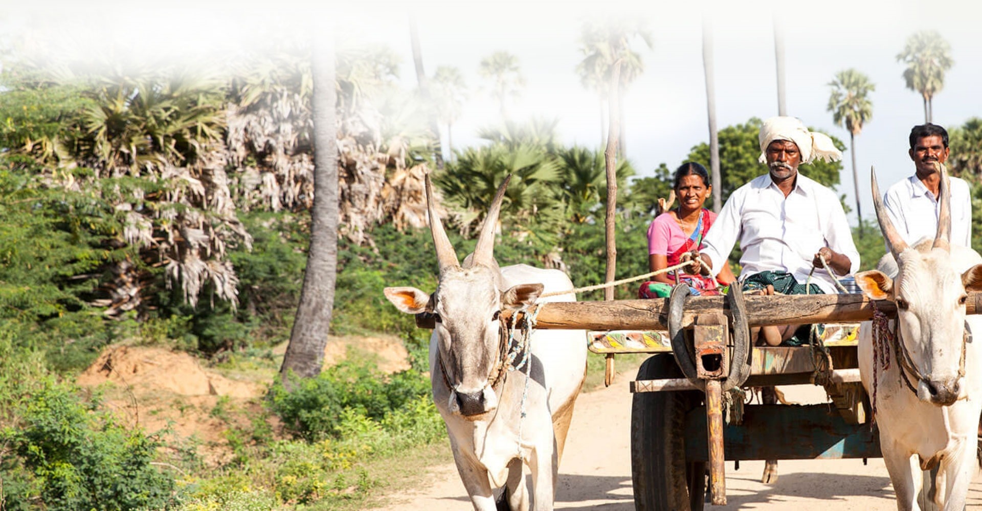 Visit Anantapur Rural Development Trust